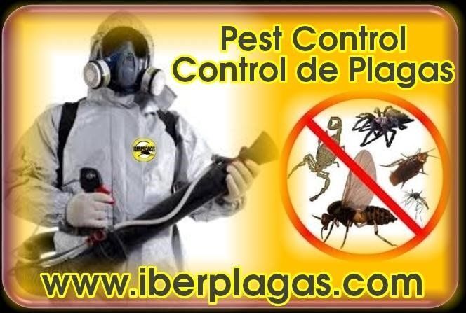 Iberplagas empresa de control de plagas y desinfección